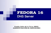 GNU/Linux Fedora 16 - DNS