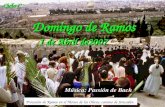 Ciclo C Domingo de Ramos 1 de Abril de2007 Procesión de Ramos en el Monte de los Olivos, camino de Jerusalén. Música: Passión de Bach.