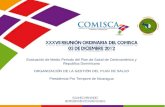 Evaluación de Medio Periodo del Plan de Salud de Centroamérica y Republica Dominicana ORGANIZACIÓN DE LA GESTIÓN DEL PLAN DE SALUD Presidencia Pro Tempore.