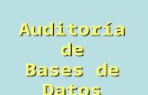 Auditoríade Bases de Datos. 14.1INTRODUCCION Universidad Nacional de Ucayali Fac Cs Adm, Cont e Ing Sistemas DATOS como recursos fundamentales de la empresa.