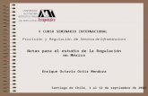 V CURSO SEMINARIO INTERNACIONAL Provisión y Regulación de Servicios de Infraestructura Santiago de Chile, 1 al 12 de septiembre de 2003 Notas para el estudio.