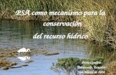 Doris Cordero Loja, Ecuador Junio de 2003 Pasos para el desarrollo de un esquema de cobro y PSA hídrico PSA como mecanismo para la conservación del recurso.