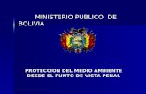 PROTECCION DEL MEDIO AMBIENTE DESDE EL PUNTO DE VISTA PENAL MINISTERIO PUBLICO DE BOLIVIA MINISTERIO PUBLICO DE BOLIVIA.