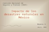 Módulo 3 Abril, 2002 Comisión Nacional de Seguros y Fianzas (CNSF) Impacto de los desastres naturales en México.