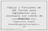 Tablas y Funciones de SQL Server para Implementar una Jerarquía sin Límite de Niveles Leonel Morales Díaz Ingeniería Simple leonel@ingenieriasimple.com.