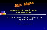 1 Programa de certificación de Green Belts I. Panorama: Seis Sigma y la organización P. Reyes / Octubre 2007.
