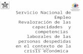 Servicio Nacional de Empleo Revaloración de las capacidades y competencias laborales de las personas despedidas en el contexto de la crisis económica Dirección.