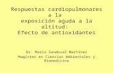 Respuestas cardiopulmonares a la exposición aguda a la altitud: Efecto de antioxidantes Dr. Mario Sandoval Martínez Magíster en Ciencias Ambientales y.