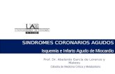 Prof. Dr. Abelardo García de Lorenzo y Mateos Cátedra de Medicina Crítica y Metabolismo SINDROMES CORONARIOS AGUDOS Isquemia e Infarto Agudo de Miocardio.