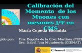1 Calibración del Momento de los Muones con mesones J/ en CMS María Cepeda Hermida Dirigido por: Dra. Begoña de la Cruz Martínez (CIEMAT) Dra. Isabel Josa.