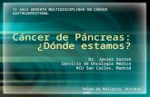 Cáncer de Páncreas: ¿Dónde estamos? Dr. Javier Sastre Servicio de Oncología Médica HCU San Carlos, Madrid II AULA ABIERTA MULTIDISCIPLINAR EN CÁNCER GASTROINTESTINAL.
