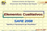 Elementos Cualitativos Subsecretaría de Egresos Dirección de Política del Gasto Junio de 2007 Gestión o Presupuesto por Resultados SAPE 2008 Elementos.