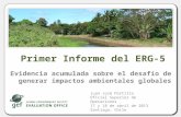 Evidencia acumulada sobre el desafío de generar impactos ambientales globales Juan José Portillo Oficial Superior de Operaciones 17 y 18 de abril de 2013.
