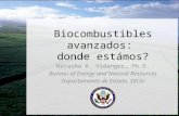 Biocombustibles avanzados: donde estámos? Natasha K. Vidangos, Ph.D. Bureau of Energy and Natural Resources Departamento de Estado, EEUU.
