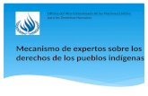 Mecanismo de expertos sobre los derechos de los pueblos indígenas Oficina del Alto Comisionado de las Naciones Unidas para los Derechos Humanos.
