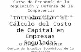 Introducción al Cálculo del Costo de Capital en Empresas Reguladas Christian A. RUZZIER Centro de Estudios Económicos de la Regulación Curso de Economía.