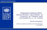 Programa Carbono 2012: Desarrollando Capacidades en Finanzas de Carbono para Latinoamérica y el Caribe Damiano Borgogno Hacia un modelo economico de desarrollo.