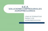 S.E.A. SOLUCIONES EMPRESARIALES AGROPRECUARIAS UNA ALTERNATIVA PARA LOS AGRONEGOCIOS.