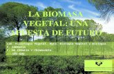 LA BIOMASA VEGETAL: UNA APUESTA DE FUTURO Lab. Fisiología Vegetal. Dpto. Biología Vegetal y Ecología F. FARMACIA F. DE CIENCIA Y TECNOLOGÍA UPV-EHU eman.