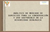 ANÁLISIS DE MERCADO DE SERVICIOS PARA LA CONSERVACIÓN Y USO SOSTENIBLE DE LA DIVERSIDAD BIOLÓGICA BIODAMAZ Perú – Finlandia.