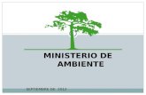 MINISTERIO DE AMBIENTE SEPTIEMBRE DE 2012. EL SAICM El Enfoque Estratégico para la Gestión Internacional de Productos Químicos (SAICM) es un marco de.