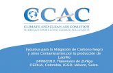 Iniciativa para la Mitigación de Carbono Negro y otros Contaminantes por la producción de Ladrillo 14/08/2013, Tlajomulco de Zuñiga CEDHA, Colombia, IGSD,