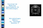 Facultad de Medicina Departamento de Microbiología. Microbiología Médica Dr. Santiago Buendía V.