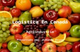 Logística En Canadá Agroindustria Presentado por: Armando Rivas.