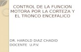 CONTROL DE LA FUNCION MOTORA POR LA CORTEZA Y EL TRONCO ENCEFALICO DR. HAROLD DIAZ CHADID DOCENTE U.P.V.