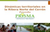 Dinámicas territoriales en la Ribera Norte del Cerrón Grande.