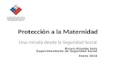 Protección a la Maternidad Una mirada desde la Seguridad Social Álvaro Elizalde Soto Superintendente de Seguridad Social Enero 2010.