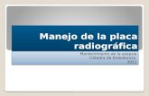 Manejo de la placa radiográfica Mantenimiento de la asepsia Cátedra de Endodoncia 2011 Mantenimiento de la asepsia Cátedra de Endodoncia 2011.