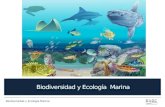 Biodiversidad y Ecología Marina. Al finalizar esta lección usted será capaz de: Entender el concepto de biodiversidad marina Entender los principios básicos.