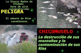 La destrucción de sus montañas y la contaminación de sus Ríos La Sierra Madre de Chiapas Zona de alta vulnerabilidad El embate de Mineras canadienses.