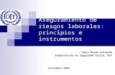 Aseguramiento de riesgos laborales: principios e instrumentos Fabio Durán Valverde Especialista en Seguridad Social, OIT Setiembre 2005.