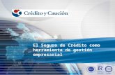 El Seguro de Crédito como herramienta de gestión empresarial.
