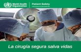 La cirugía segura salva vidas. Salud pública quirúrgica: La Organización Mundial de la Salud y la campaña de la cirugía segura salva vidas Nombre, Titulo.