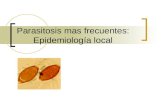 Parasitosis mas frecuentes: Epidemiología local. Introducción Los parásitos intestinales son los agentes infecciosos más comunes en el ser humano Alrededor.