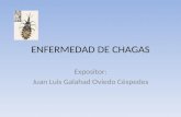 ENFERMEDAD DE CHAGAS Expositor: Juan Luis Galahad Oviedo Céspedes.