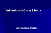 Introducción a Linux Lic. Gonzalo Pastor. Clones de UNIX Linux Linux HURD HURD BSD BSDSolaris –HP UX –OpenBSD –FreeBSD –True64 –Irix –Mac OS X Introducción.