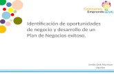 Identificación de oportunidades de negocio y desarrollo de un Plan de Negocios exitoso. Emilio Deik Morrison Azurian.