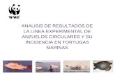 ANALISIS DE RESULTADOS DE LA LINEA EXPERIMENTAL DE ANZUELOS CIRCULARES Y SU INCIDENCIA EN TORTUGAS MARINAS.