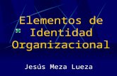 Elementos de Identidad Organizacional Jesús Meza Lueza.