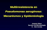 Multirresistencia en Pseudomonas aeruginosa: Mecanismos y Epidemiología Antonio Oliver Servicio de Microbiología H. Son Dureta.