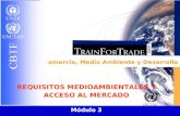 Comercio, Medio Ambiente y Desarrollo UNCTAD Módulo 3 REQUISITOS MEDIOAMBIENTALES Y ACCESO AL MERCADO.