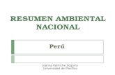 RESUMEN AMBIENTAL NACIONAL Perú Joanna Kámiche Zegarra Universidad del Pacífico.