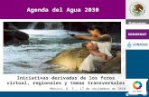 México, D. F., 17 de noviembre de 2010 Agenda del Agua 2030 Iniciativas derivadas de los foros virtual, regionales y temas transversales.