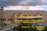 Incompetencia Ístmico Cervical Cerclaje Dr. Jorge Gregorio Barboza Retana Especialista Ginecología y Obstetricia Hospital Dr. Calderón Guardia.