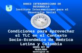 BANCO INTERAMERICANO DE DESARROLLO Instituto Interamericano para el Desarrollo Social Condiciones para Aprovechar el TLC en el Contexto Socio-Económico.