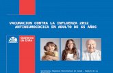 VACUNACION CONTRA LA INFLUENZA 2012 ANTINEUMOCOCICA EN ADULTO DE 65 AÑOS Secretaria Regional Ministerial de Salud – Región de La Araucanía.